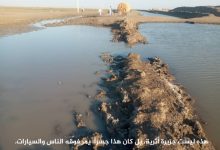 هذه ليست جزيرة أثرية بل كان جسر تسير عليه العربات والناس