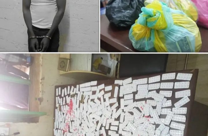 الفيدرالية تضبط 4225 حبة ترامادول معدة لتوزيعها ليلة رأس السنة